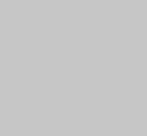 Grigio Silver QG