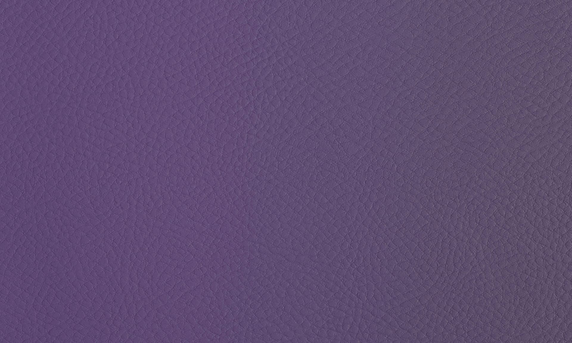 IC 23