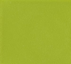 Verde Pantone 7495EC