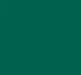 Vert RAL 6016