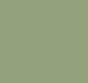Verde RAL 6021