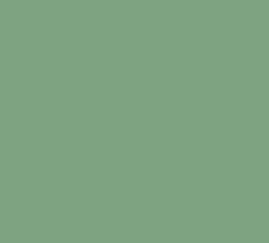 Verde acqua Swamp SC