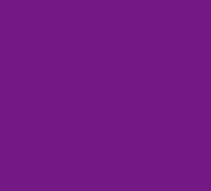 Viola purple 145
