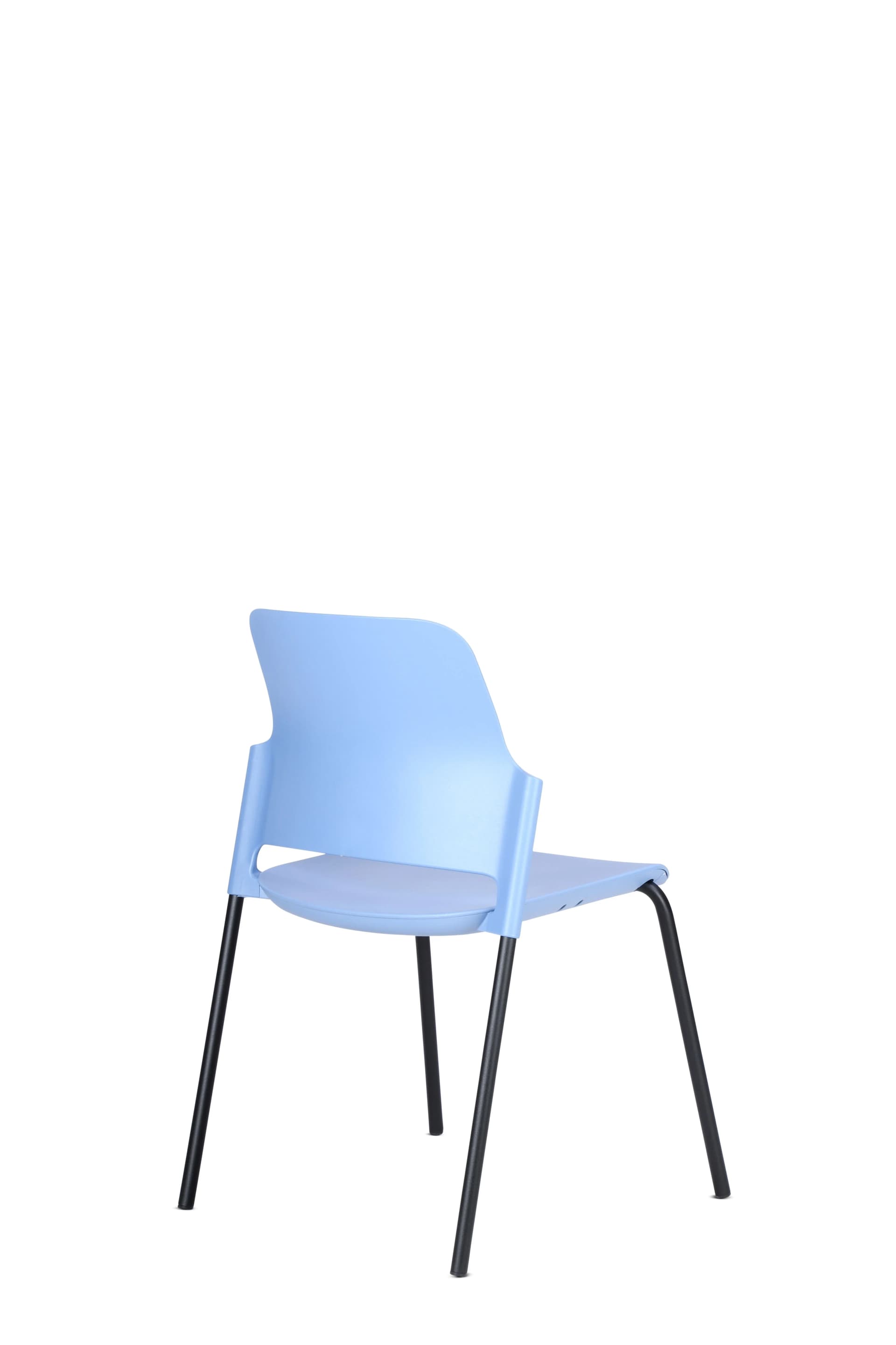 GENESI 5.webp