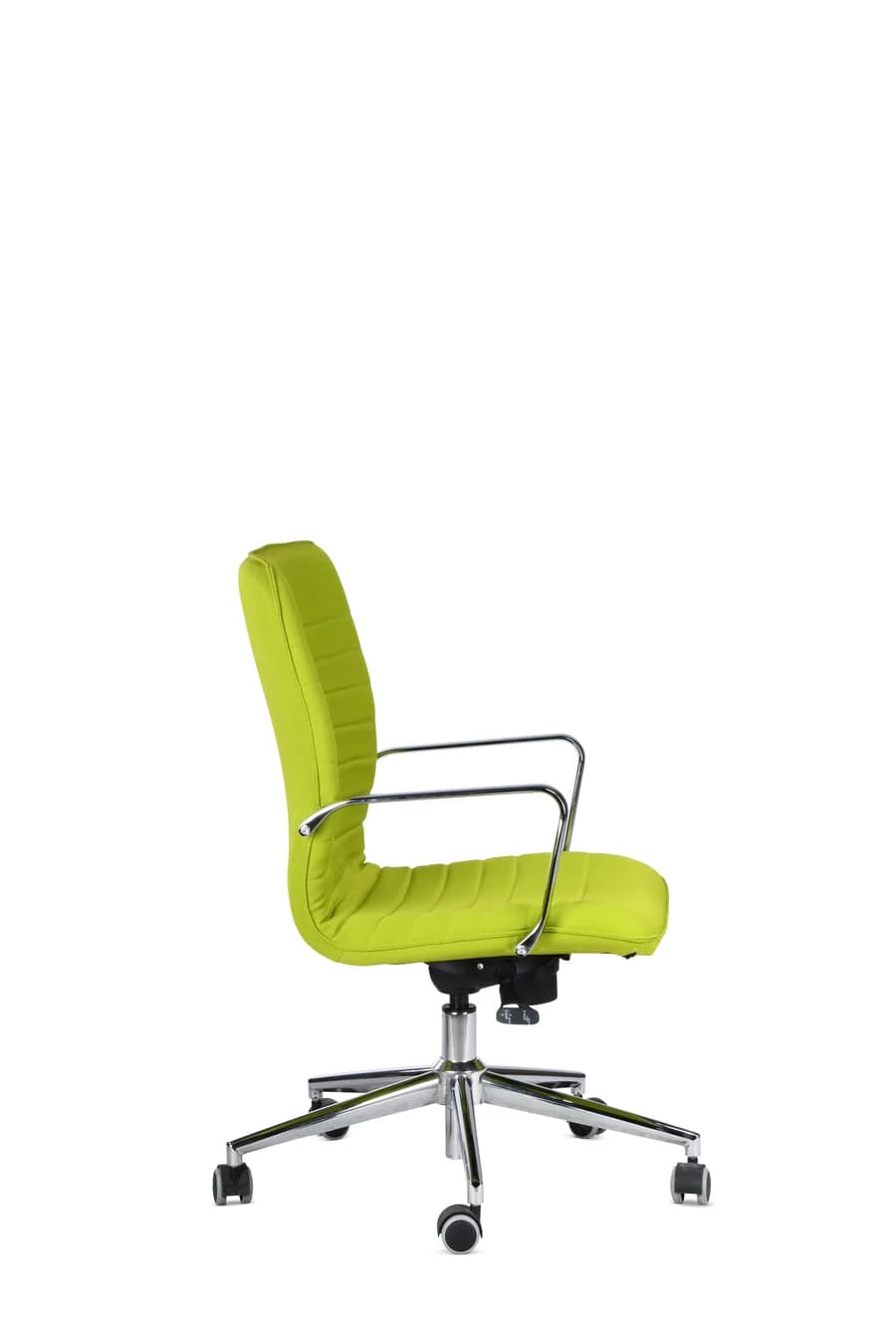 VENERE (2).webp