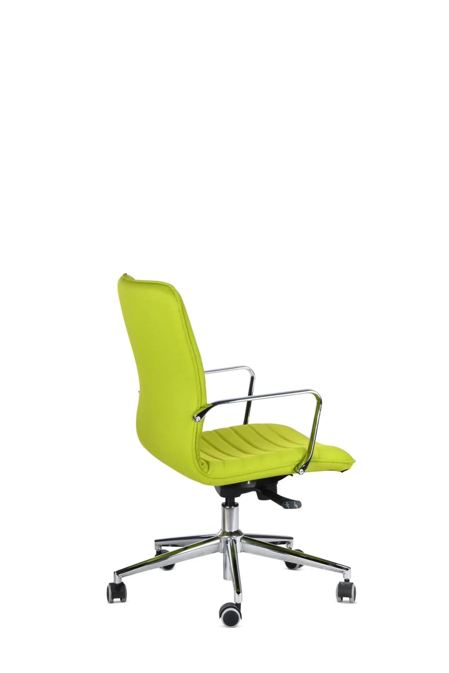 VENERE (3).webp